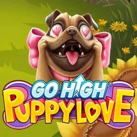 Go High Puppy Love online slot from RubyPlay – play at instant-casinoo.com