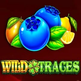Wild Traces casino game by Amusnet Interactive – featured logo at Instant Casino